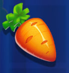 carrot